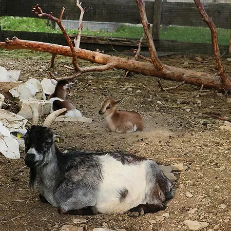 Landgasthof Waldeck 3* Durbheim