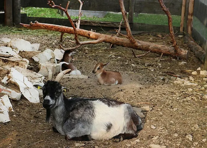 Landgasthof Waldeck 3* Durbheim